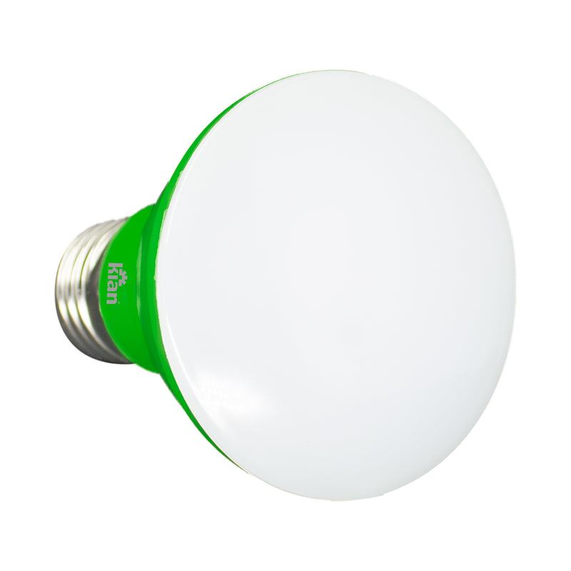 Lâmpada LED Par20 6W E27 Verde Bivolt